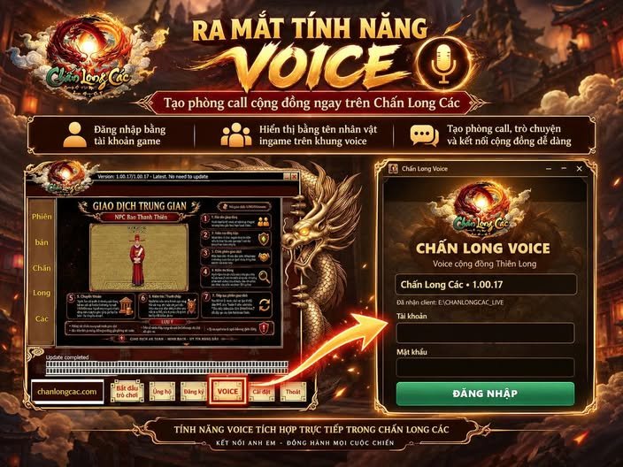 VOICE INGAME